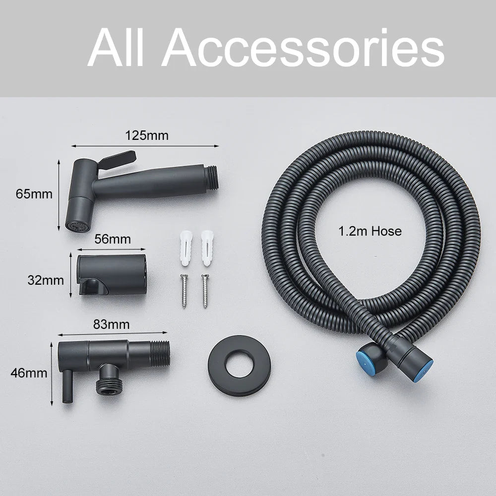 Afralia™ Stainless Steel Bidet Sprayer Faucet, Wall Mounted Jet Set for Bathroom Toilet