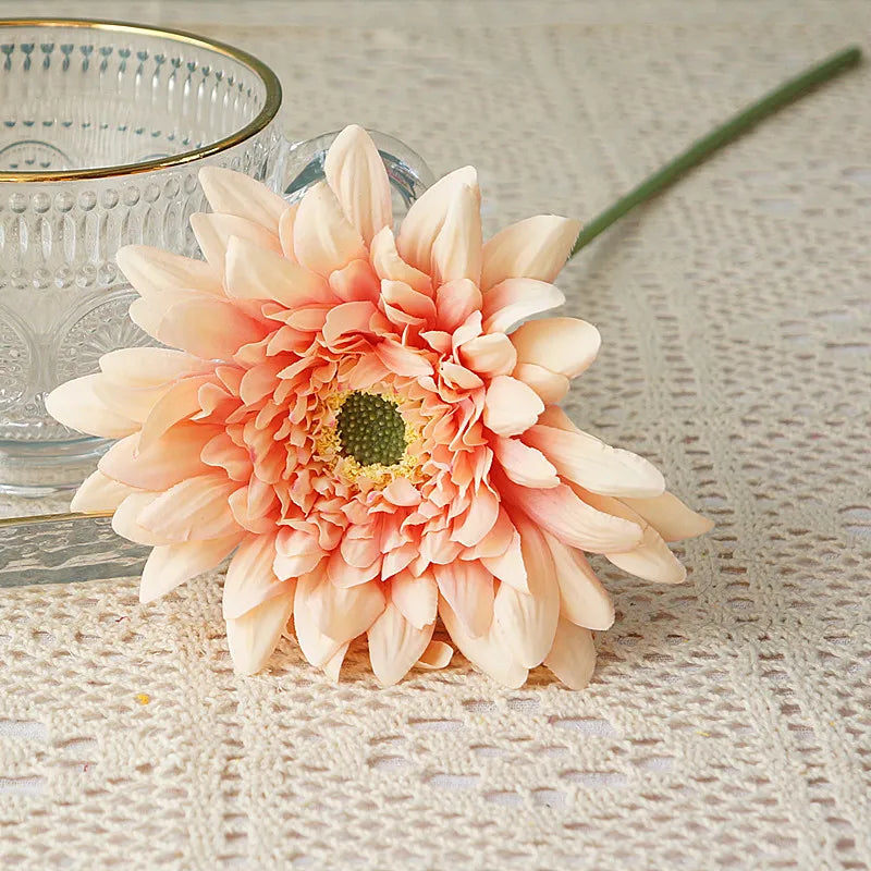 49435035304241|49435035369777