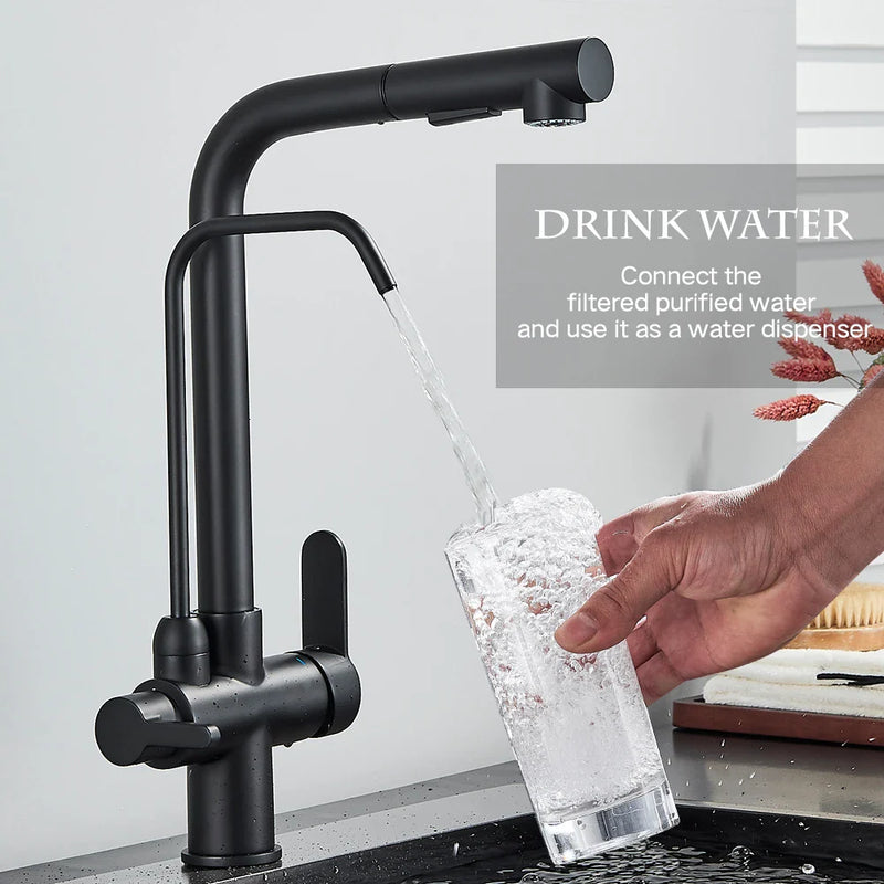 Afralia™ Black 2-in-1 Purification Kitchen Faucet with Flexible Pull Out Nozzle