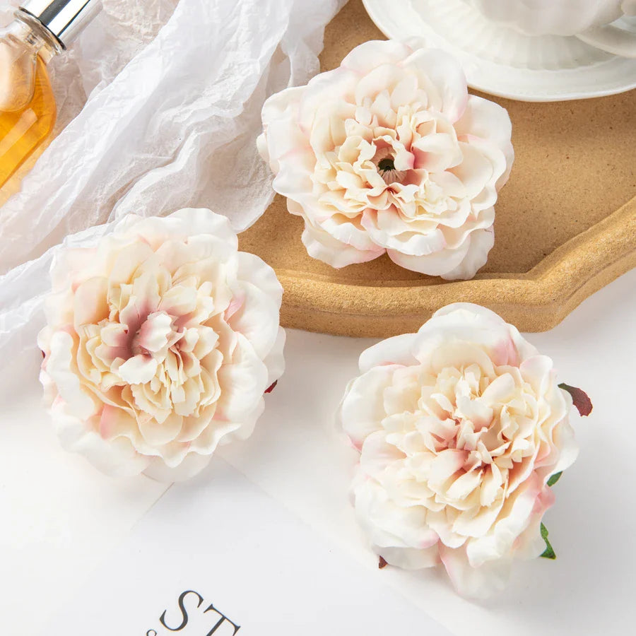 49435167752497|49435167785265