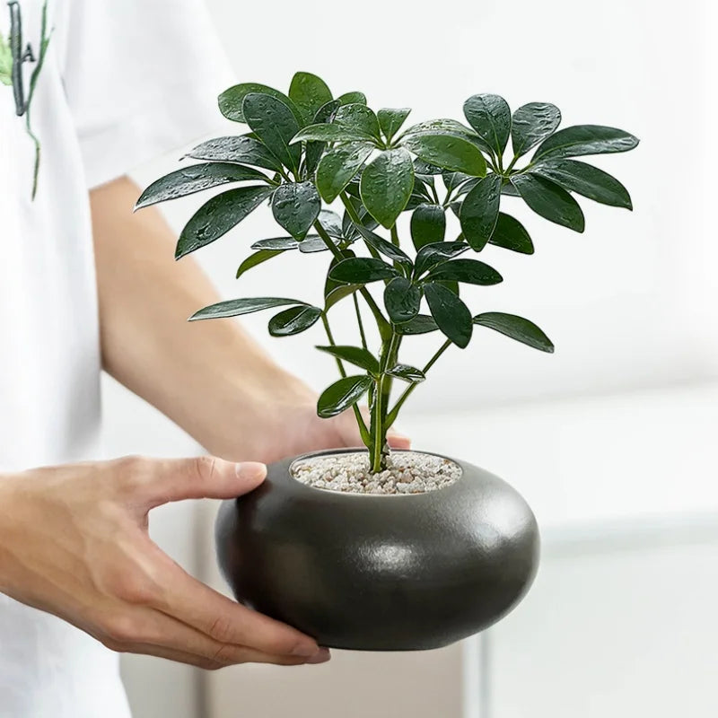 Afralia™ Pebble Flowerpot Geometry Plant Vase Succulent Basin – Balcony Decor Plant Accessories