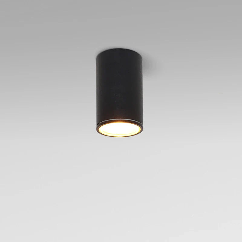 Afralia™ Outdoor LED Ceiling Lights for Kitchen Hallway Lighting Fixtures