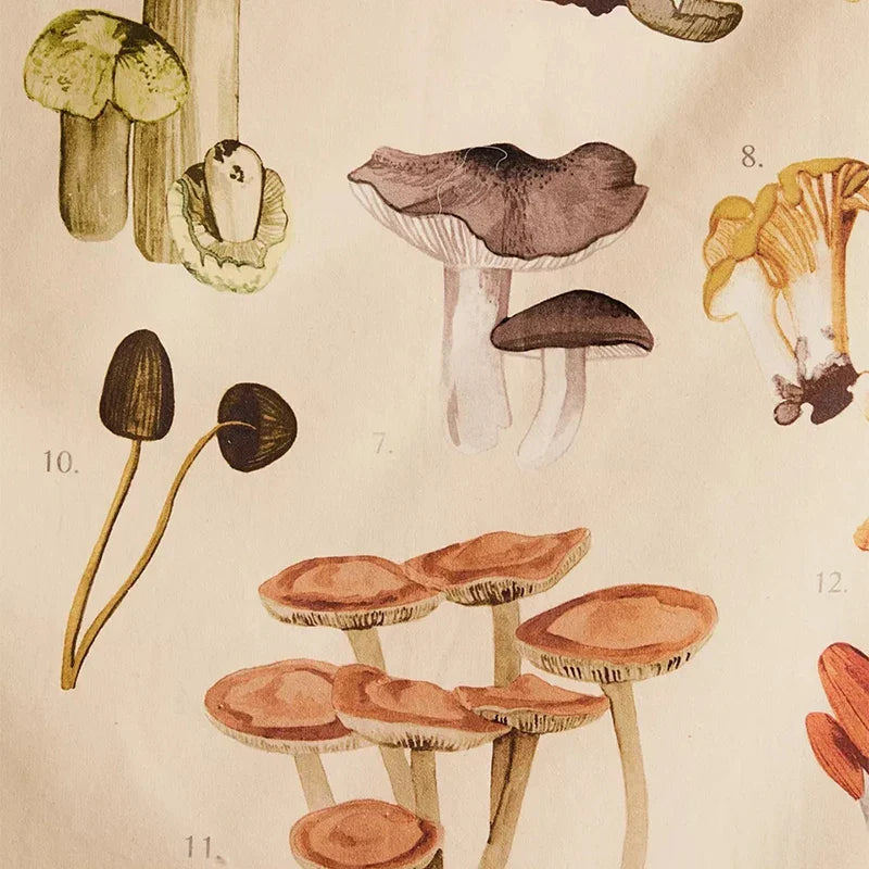 Afralia™ Mushroom Identification Chart Wall Art - Mycology Champignon Illustration Boho Decor