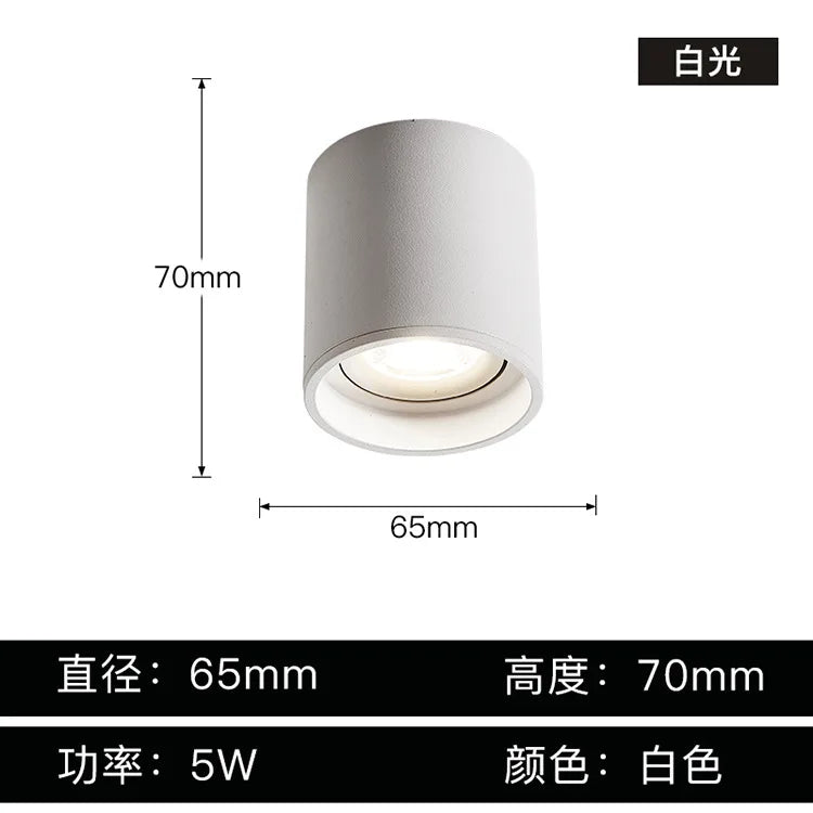 Afralia™ Aluminum Ceiling Lamp: Cylindrical Surface Mounted Downlight with Adjustable Beam Angle