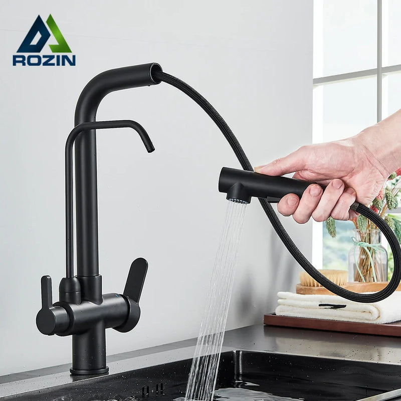 Afralia™ Black 2-in-1 Purification Kitchen Faucet with Flexible Pull Out Nozzle