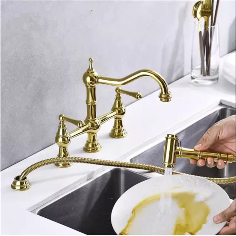 Afralia™ Gold Kitchen Faucet with Hand Shower and Pot Filler Tap