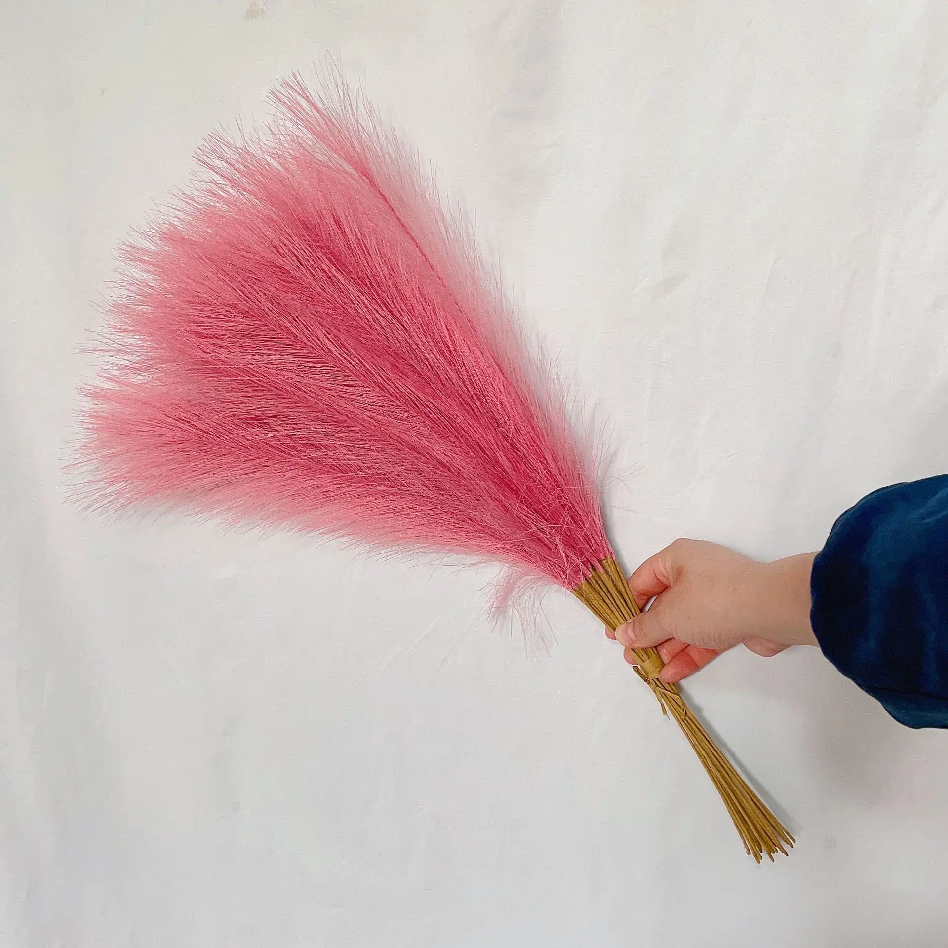 49433577619761|49433577652529|49433577685297