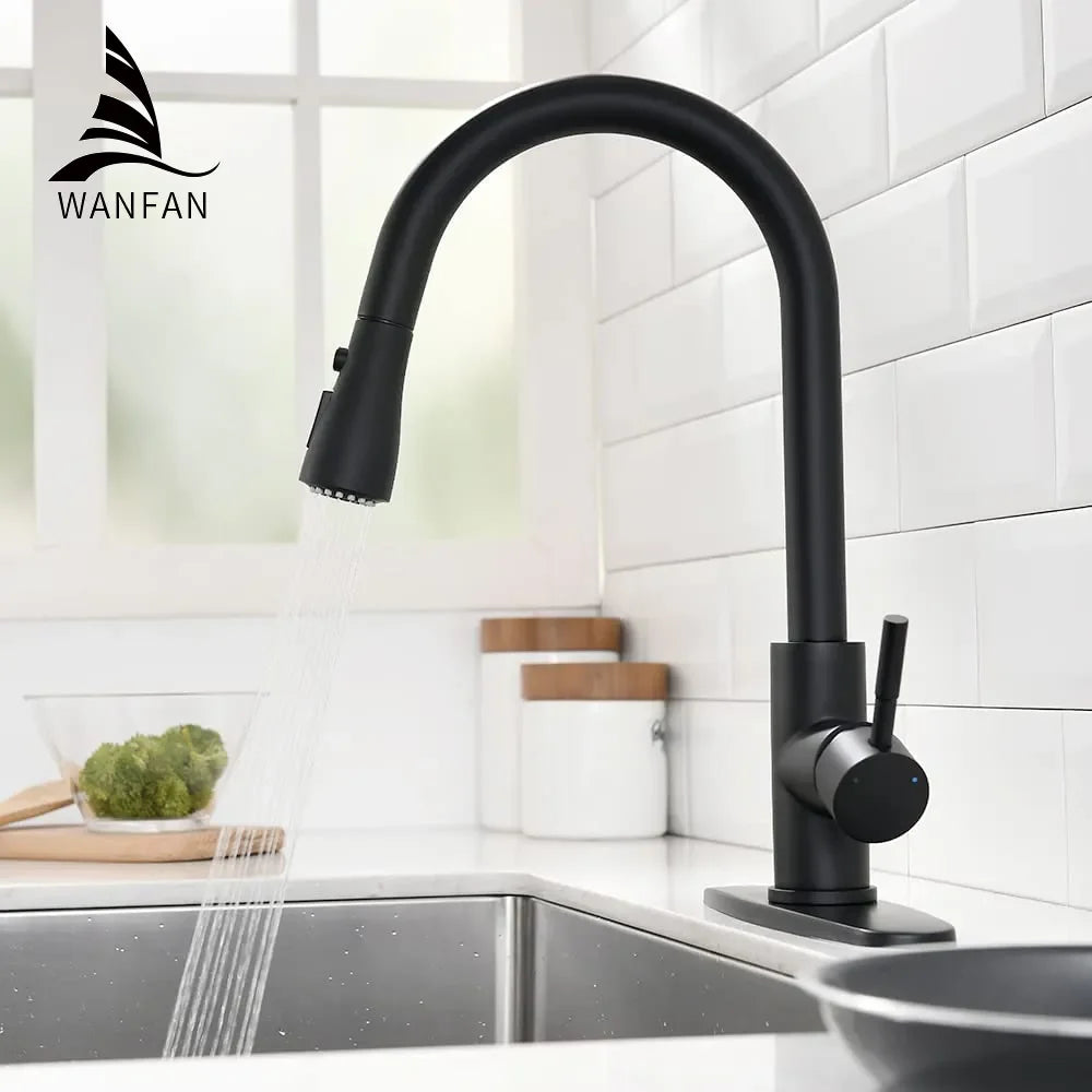 Afralia™ Black Single Handle Pull Out Kitchen Faucet Swivel 360 Degree Water Mixer Tap