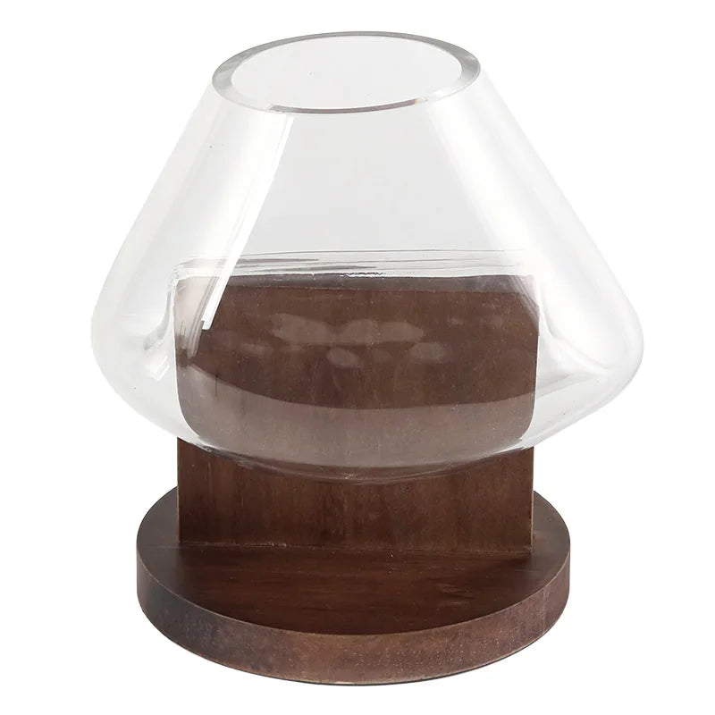 Afralia™ Glass Vase Terrarium Home Decoration Accessory