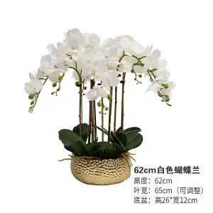 Afralia™ Phalaenopsis Flower in Pot: High-End Hand Moisture Simulation & Art Decoration