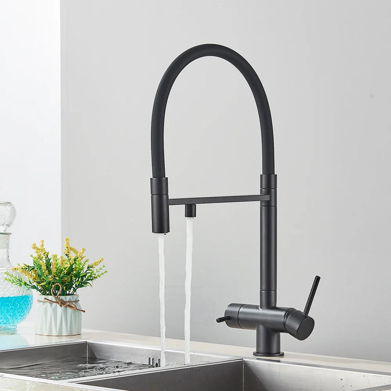 Afralia™ Black Filtered Kitchen Faucet Brass Dual Handle Pure Water Mixer Taps