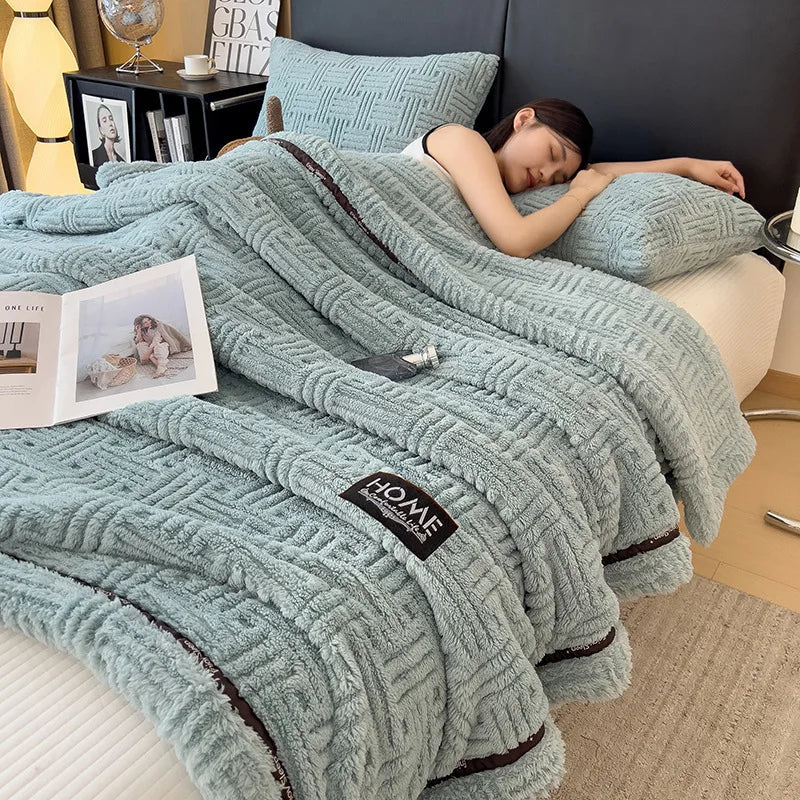 Afralia™ Soft Coral Fleece Sofa Blanket for Autumn Winter, Single Double Comforter