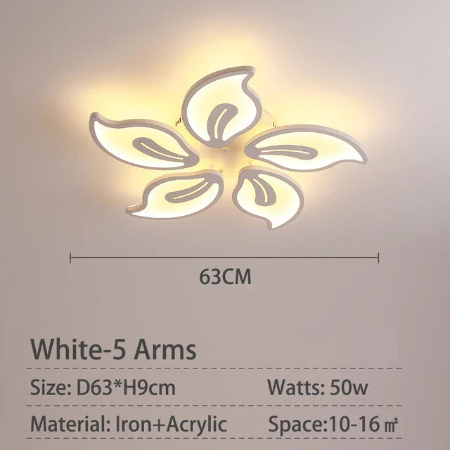 45111038804221