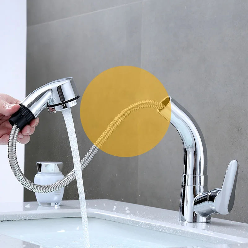 Afralia™ Modern Black Silver Basin Faucet with Pull Out Spray, 360 Rotate Bathroom Tap