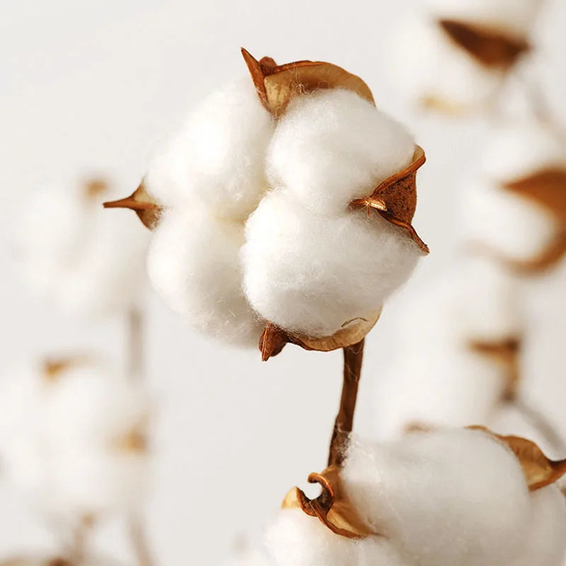 Afralia™ Cotton Stripe Fitted Sheet- Single Cozy Mattress Cover with Elastic Band