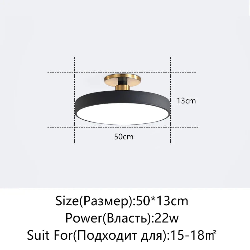 Afralia™ LED Ceiling Lamp for Living Room Study Child Bedroom Indoor Lighting