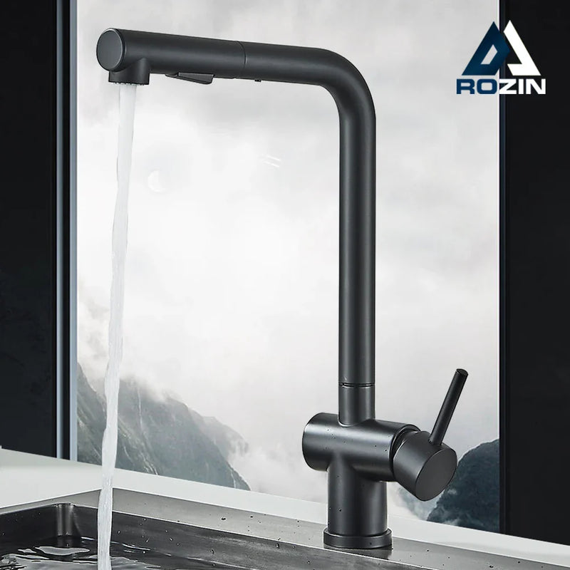 Afralia™ Black Gourmet Kitchen Faucet with Flexible Sprayer and Dual Nozzle