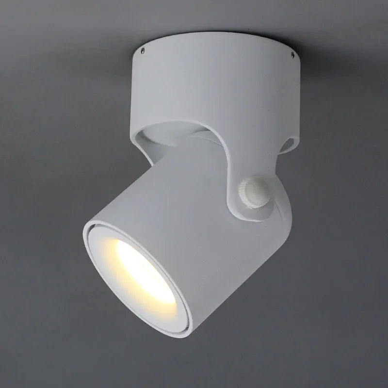 Afralia™ LED Spot Light COB Adjustable 180° Ceiling Downlight for Foyer Living Room