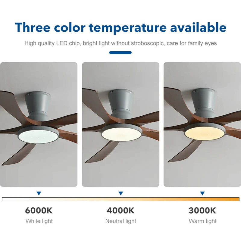 Afralia™ Modern Black Low Floor Ceiling Fan Light with DC Remote Control and LED - 60 Inch