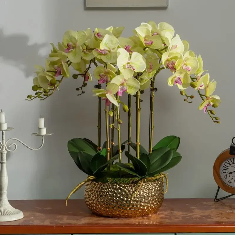 Afralia™ Phalaenopsis Flower in Pot: High-End Hand Moisture Simulation & Art Decoration