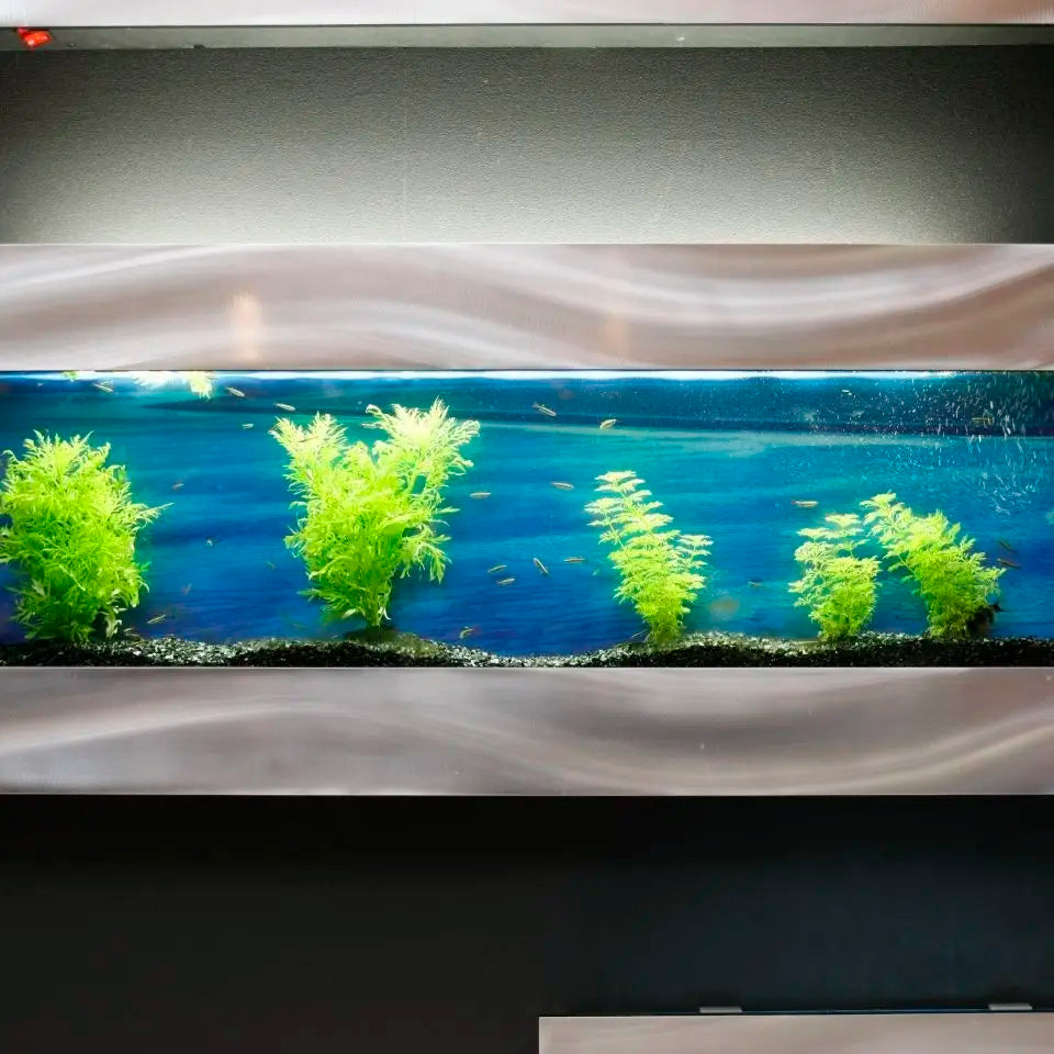 Afralia™ Ultra Clear Tempered Fish Tank: Wall Hanging Aquarium with No-Water Change
