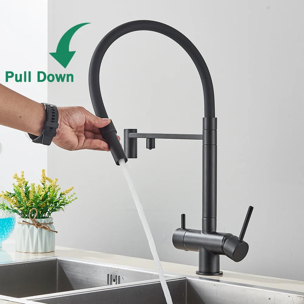 Afralia™ Black Kitchen Faucet with Pull Down Sprayer and 2-in-1 Purification Technology