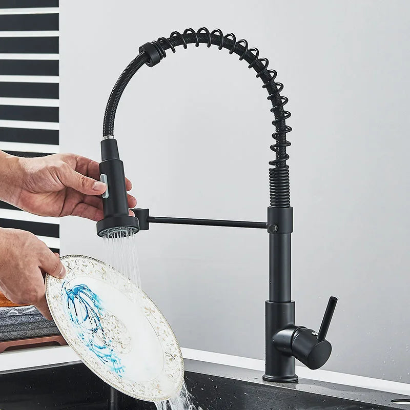 Afralia™ Matte Black Dual Water Mode Kitchen Faucet with Brass Spring