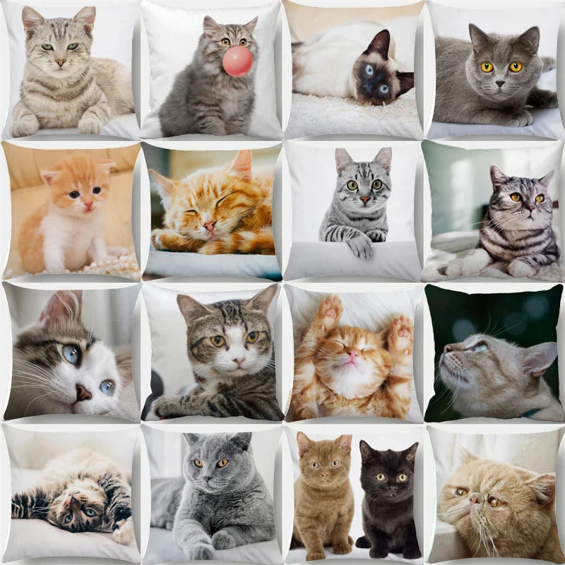 Afralia™ Bubble Black Cats Cat Pillow Cases Sofa Home Decor Custom Cushion Cover