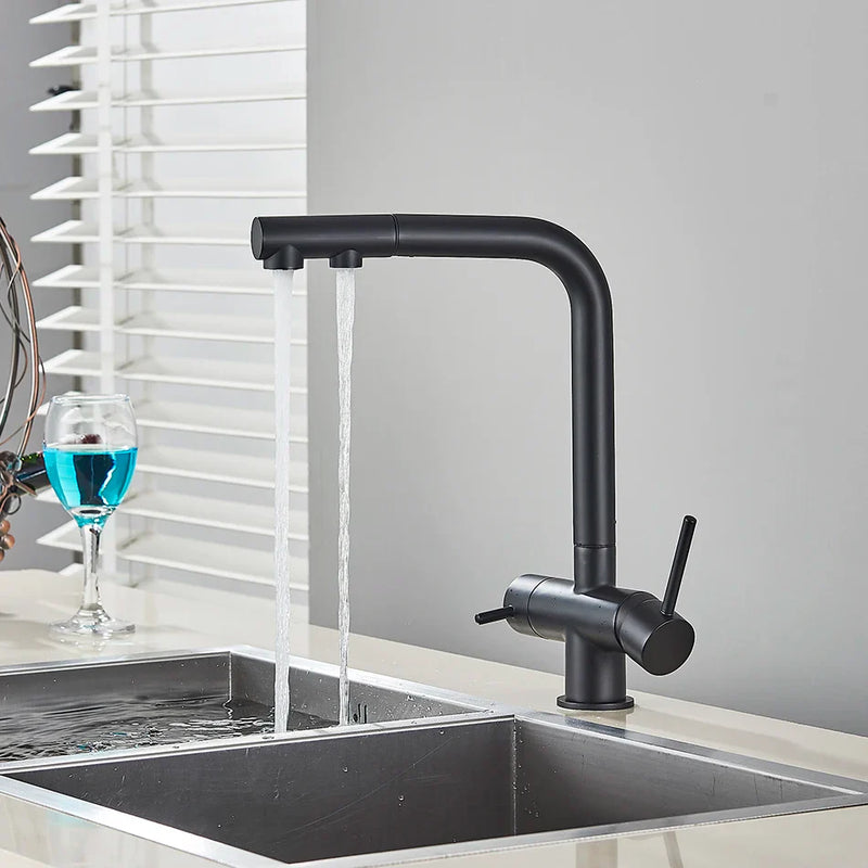 Afralia™ Waterfilter Kitchen Faucet Mixer Tap with Dual Handles and Pull Out Spout