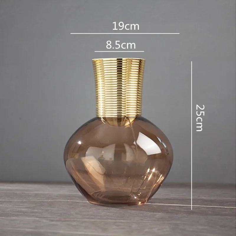 Afralia™ Gold Metal Glass Vase: Round Transparent Terrarium for Home Decor & Flower Arrangement