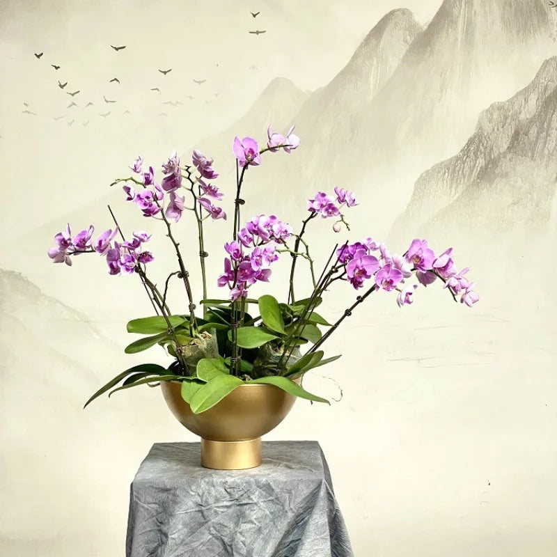 Afralia™ Tall Orchid Flowerpot Vase Golden Metal Balcony Decor Arrangement