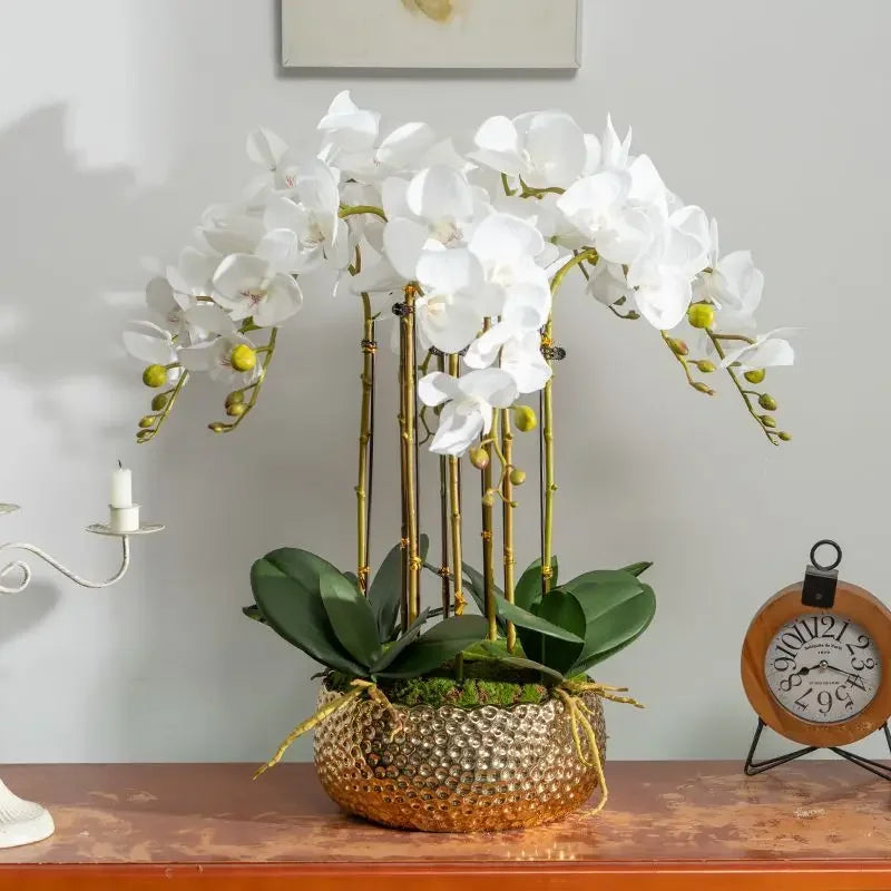 Afralia™ Phalaenopsis Flower in Pot: High-End Hand Moisture Simulation & Art Decoration