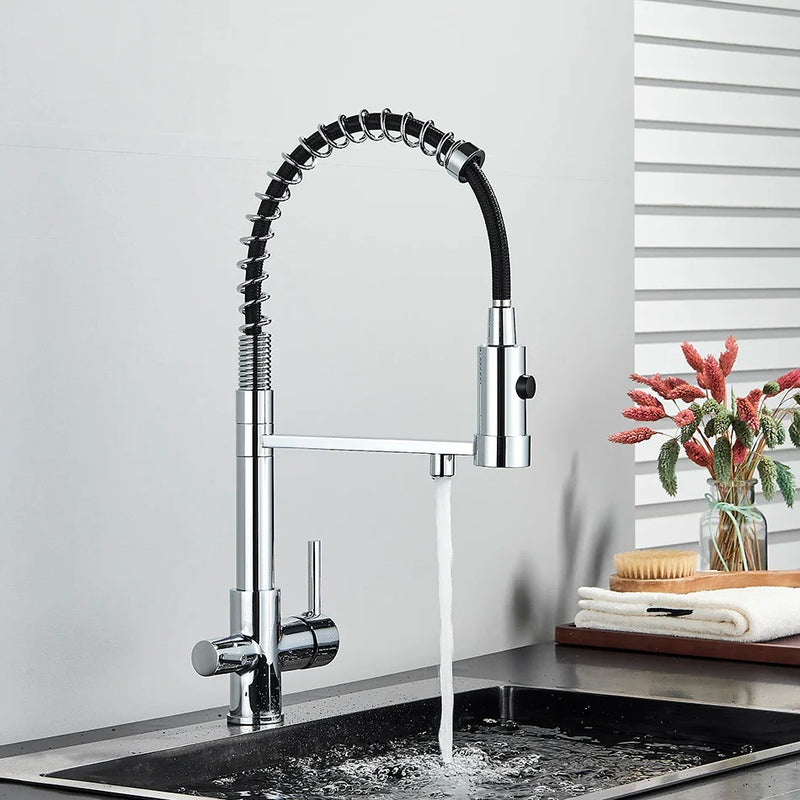 Afralia™ Dual Spout Kitchen Water Filter Faucet with Rotation Water Purification Feature