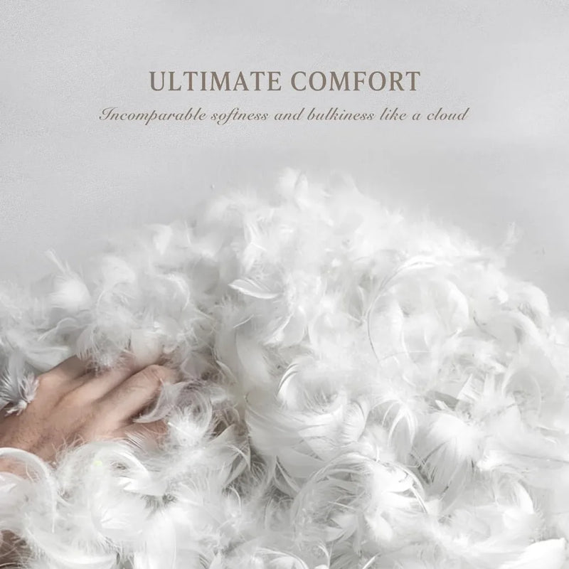 Indulgent White Feather Goose Down Comforter for All-Season Warmth