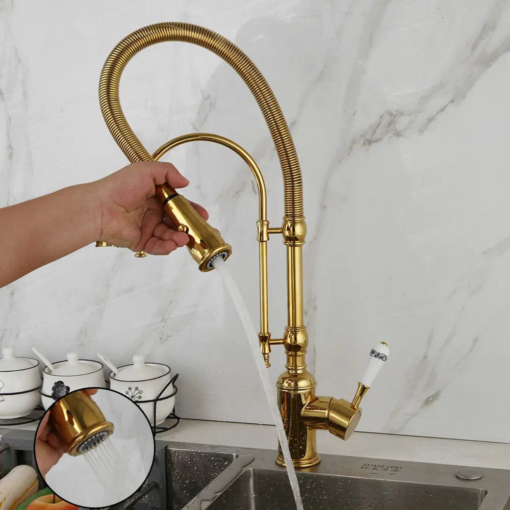 Afralia™ Swivel Kitchen Faucet with Pull Down Spring Spray in Brushed Nickel
