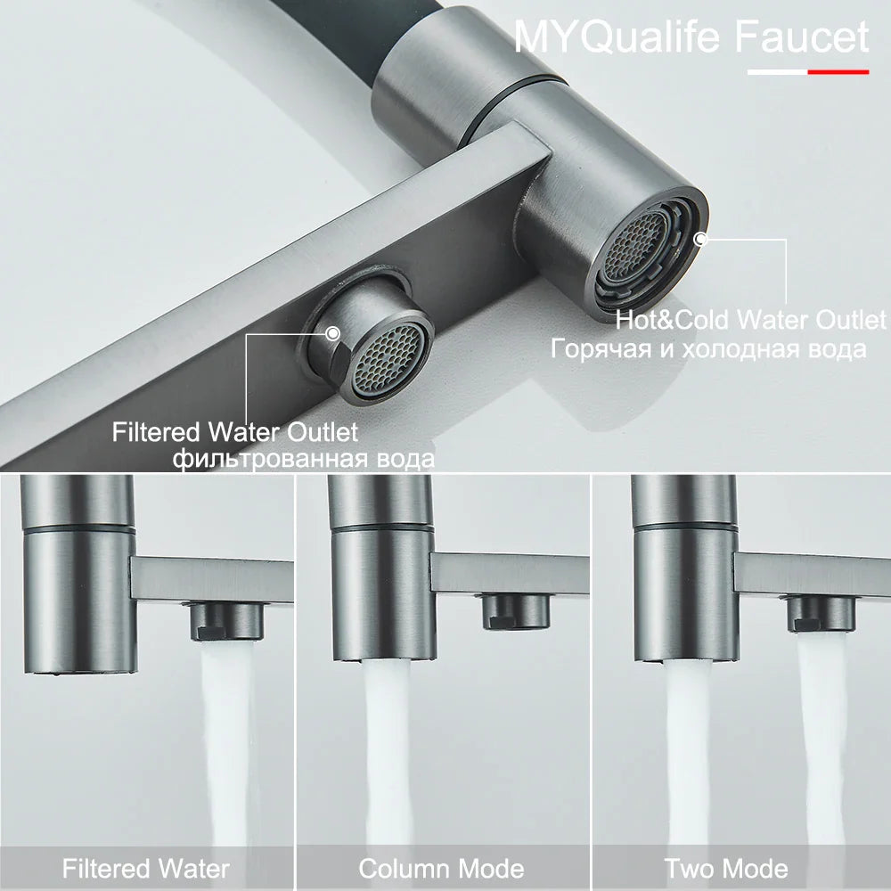 Afralia™ Gun Gray Filtered Kitchen Faucet - Dual Handle Pull Out Brass Sink Mixer