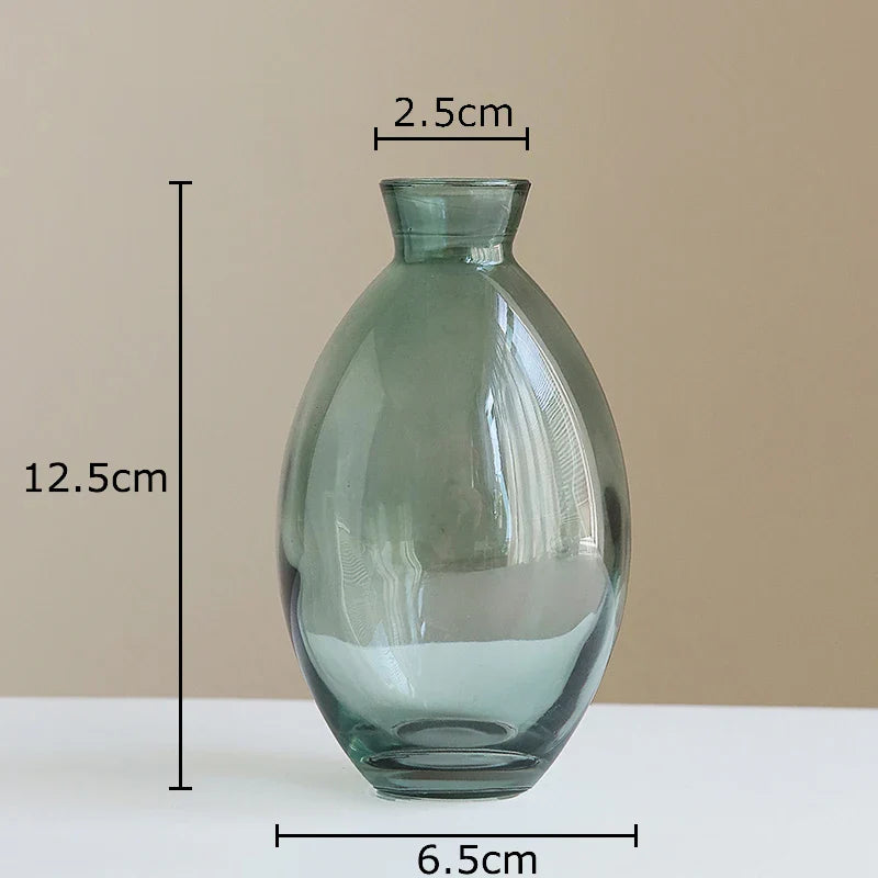 Afralia™ Small Glass Vase for Table Decoration Room Aesthetic, Multi Style Floral Pots