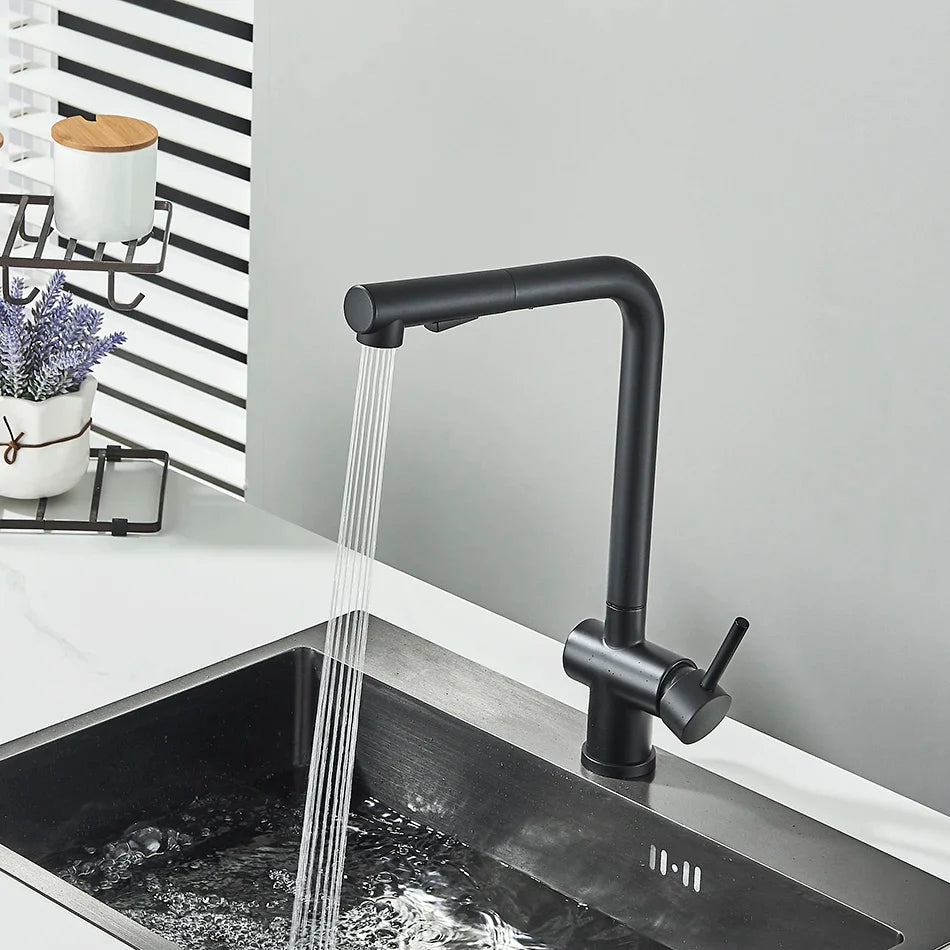 Afralia™ Matte Black Kitchen Faucet Pull Out Dual Sprayer Mixer Tap Rotation Deck Mounted