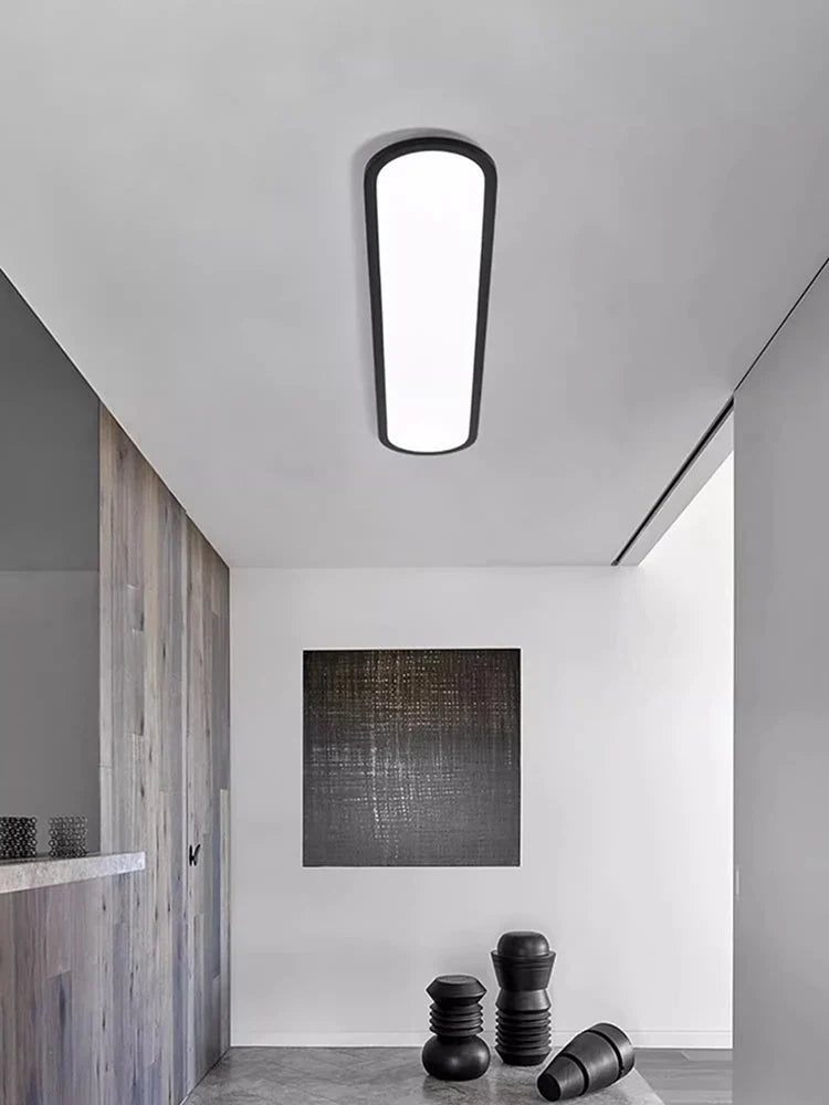 Afralia™ Oval LED Ceiling Light for Modern Minimalist Indoor Lighting Fixtures