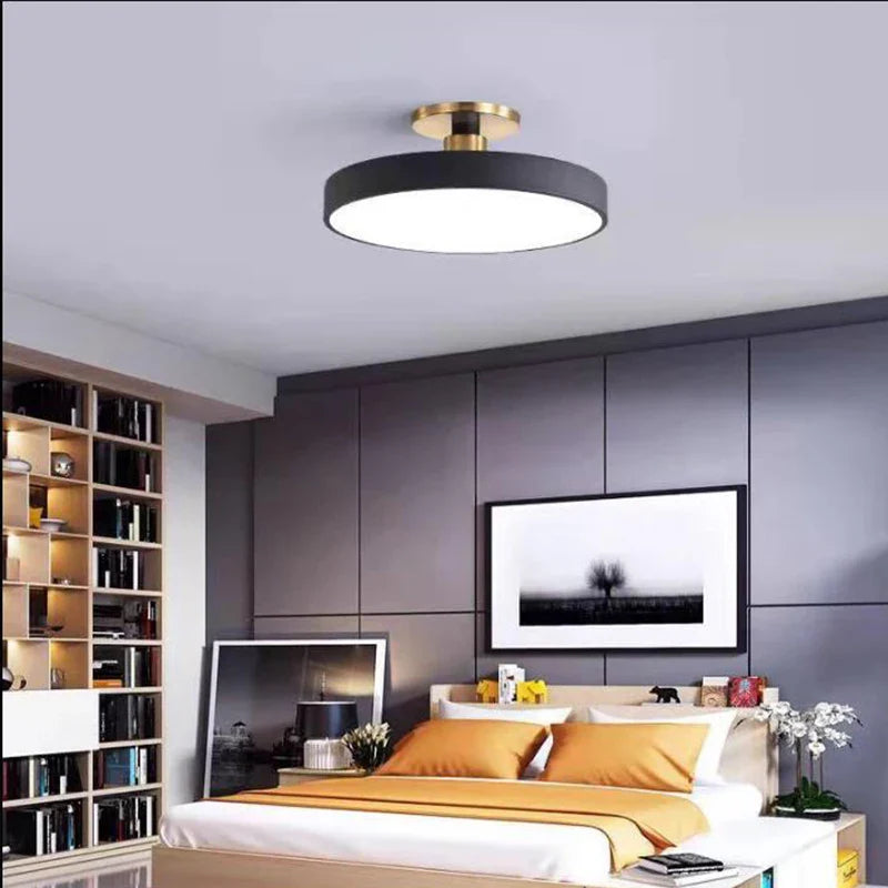 Afralia™ LED Ceiling Lamp for Living Room Study Child Bedroom Indoor Lighting