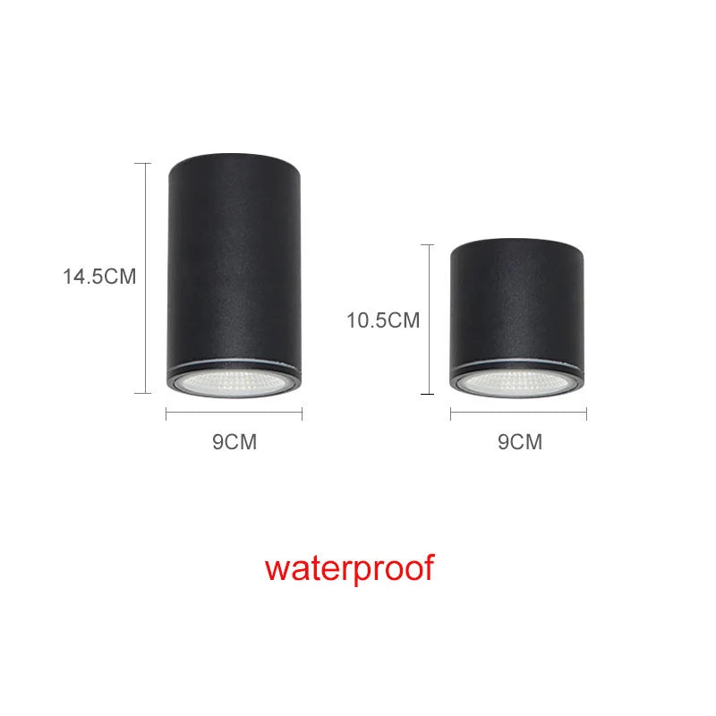 Afralia™ Outdoor LED Ceiling Lights for Kitchen Hallway Lighting Fixtures