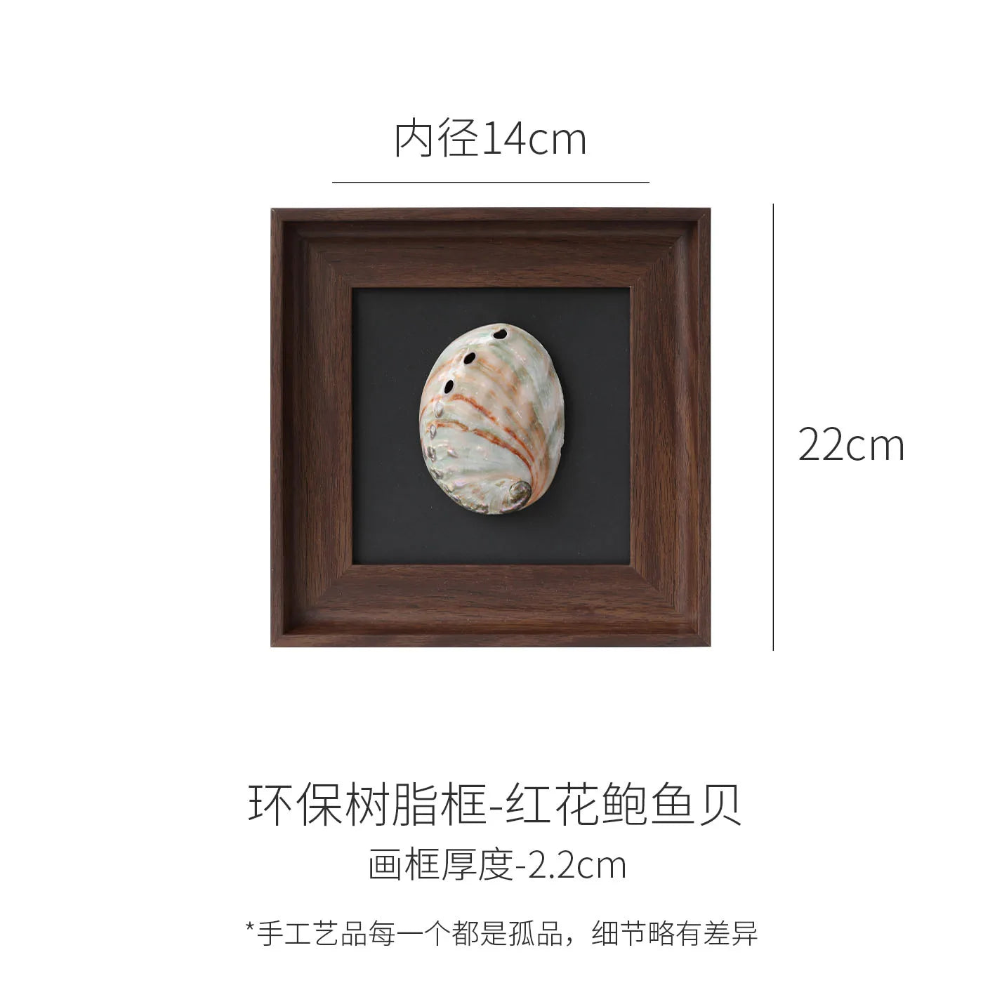 Afralia™ Conch Shell Decorative Painting Frame Pendant Wall Ornaments