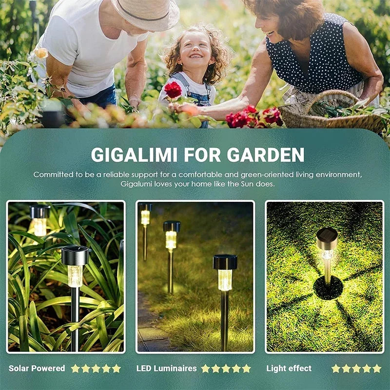 Afralia™ Solar Garden Lanterns: Waterproof Landscape Lighting for Pathway, Yard, Lawn & Garden