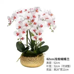 Afralia™ Phalaenopsis Flower in Pot: High-End Hand Moisture Simulation & Art Decoration