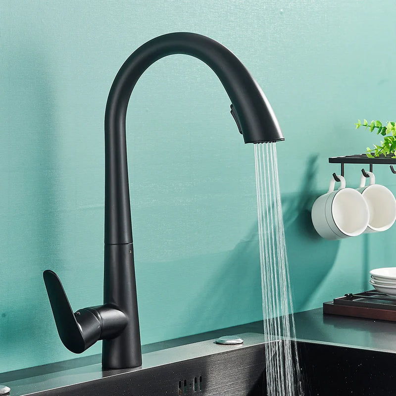 Afralia™ Black Kitchen Faucet with Pull Out Sprayer and Single Lever Control