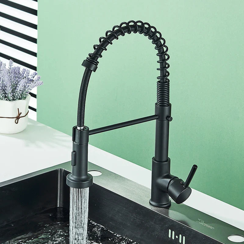 Afralia™ Matte Black Dual Water Mode Kitchen Faucet with Brass Spring