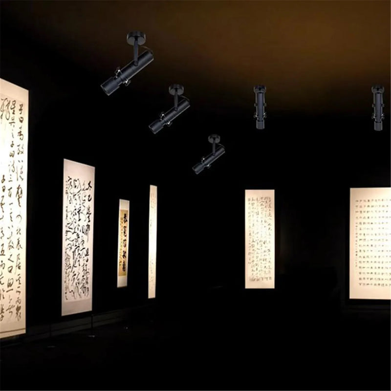 Afralia™ Dimmable LED Track Light: 20W/30W Spotlight for Museum Art Gallery Exhibition