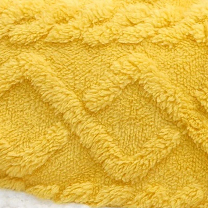Afralia™ Cozy Velvet Pet Blanket for Autumn/Winter Comfort
