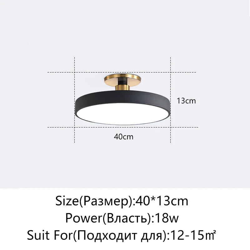 Afralia™ LED Ceiling Lamp for Living Room Study Child Bedroom Indoor Lighting