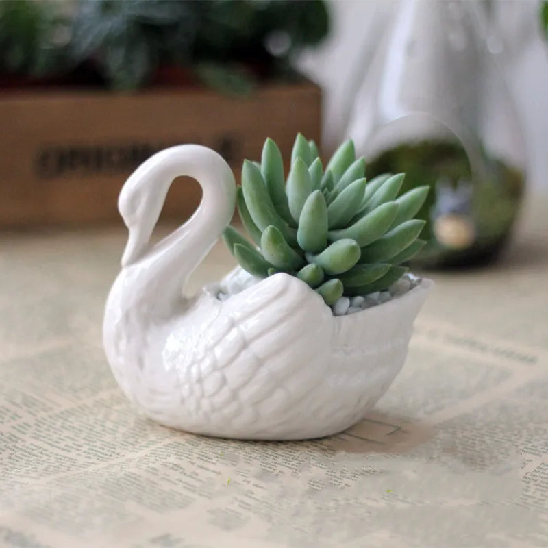 Afralia™ Swan Succulent Plant Pot Candlestick Jewelry Tray White Vase Decoration